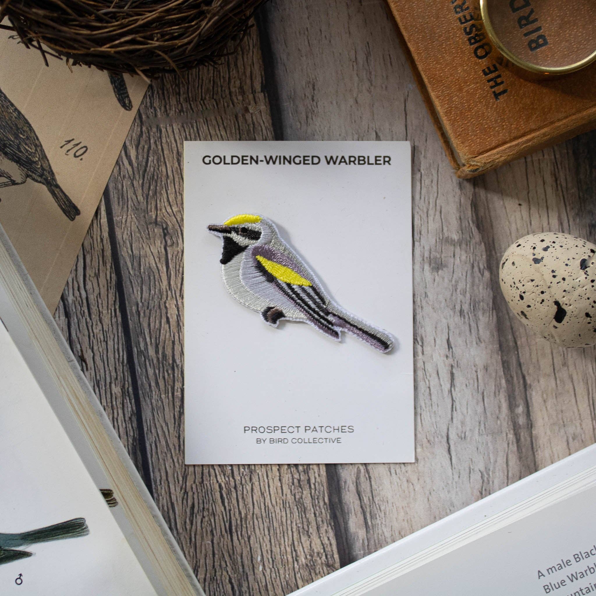 Golden-winged Warbler Patch