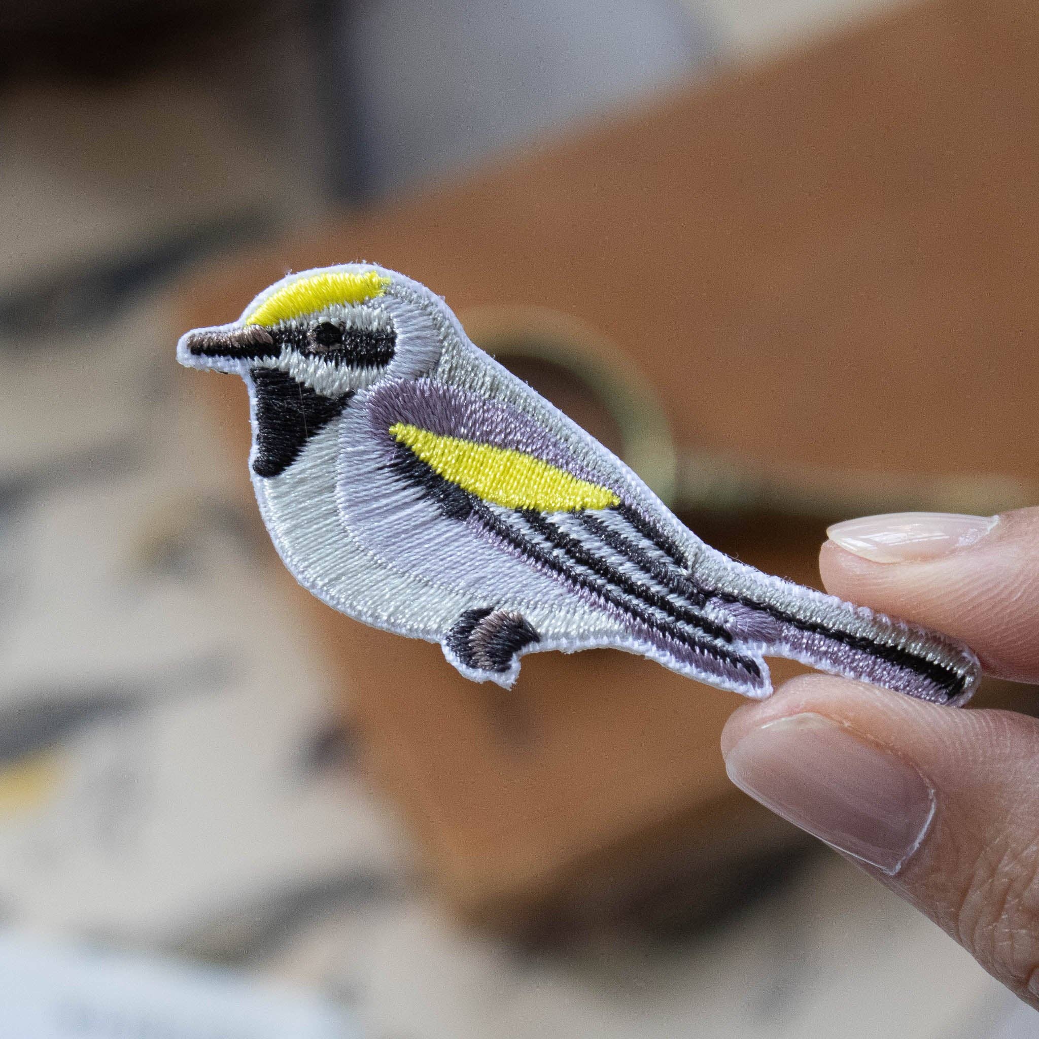 Golden-winged Warbler Patch