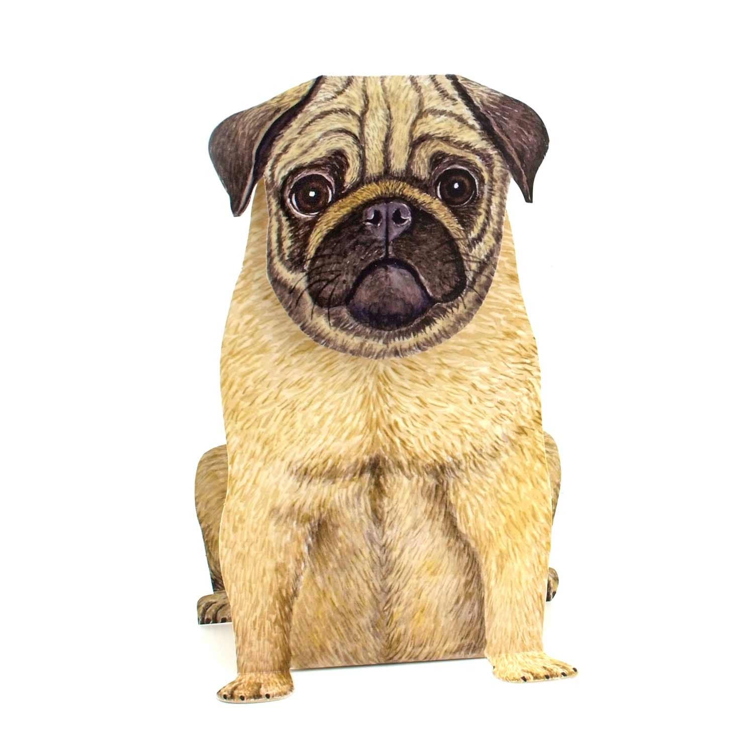 3D animal card pug