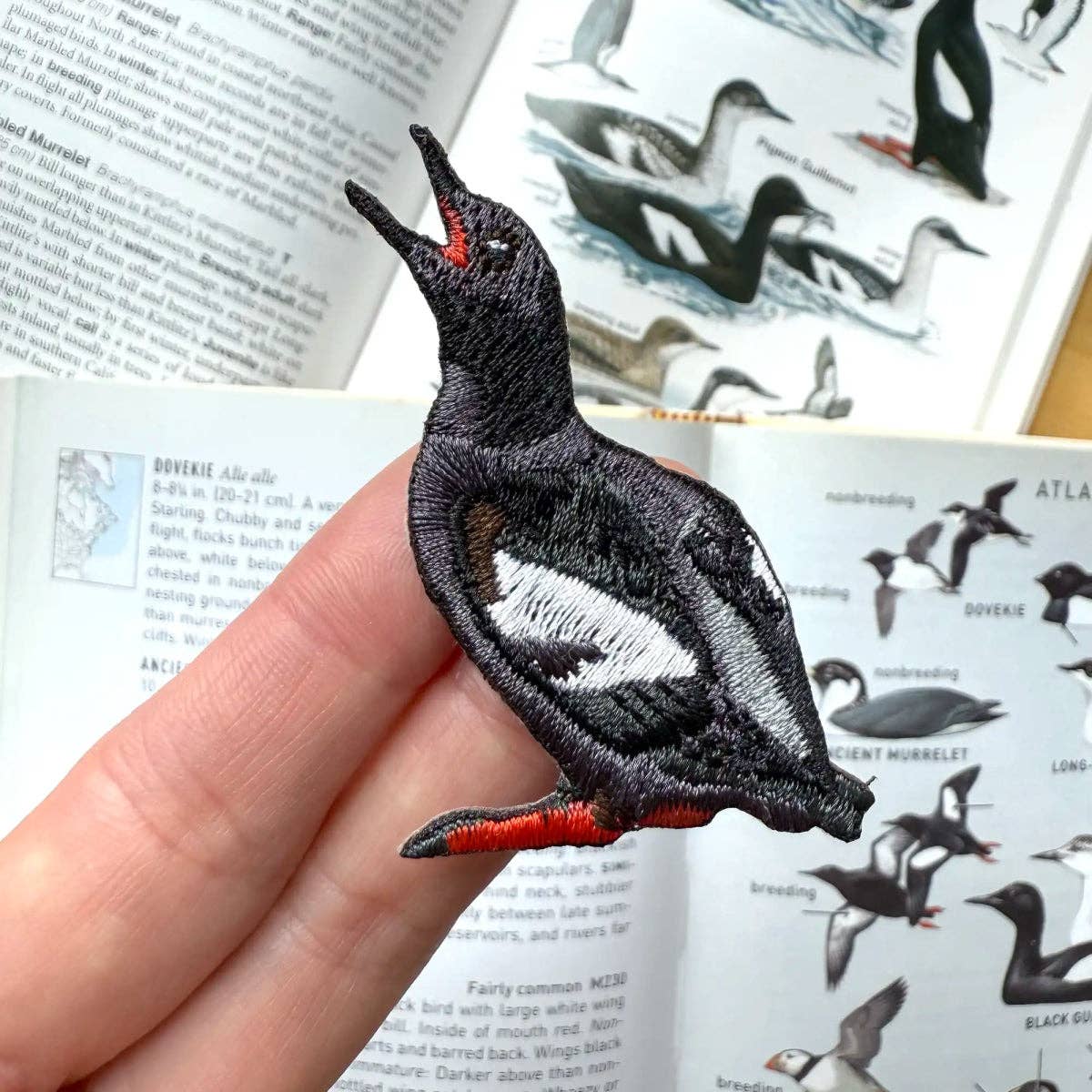 Pigeon Guillemot Patch