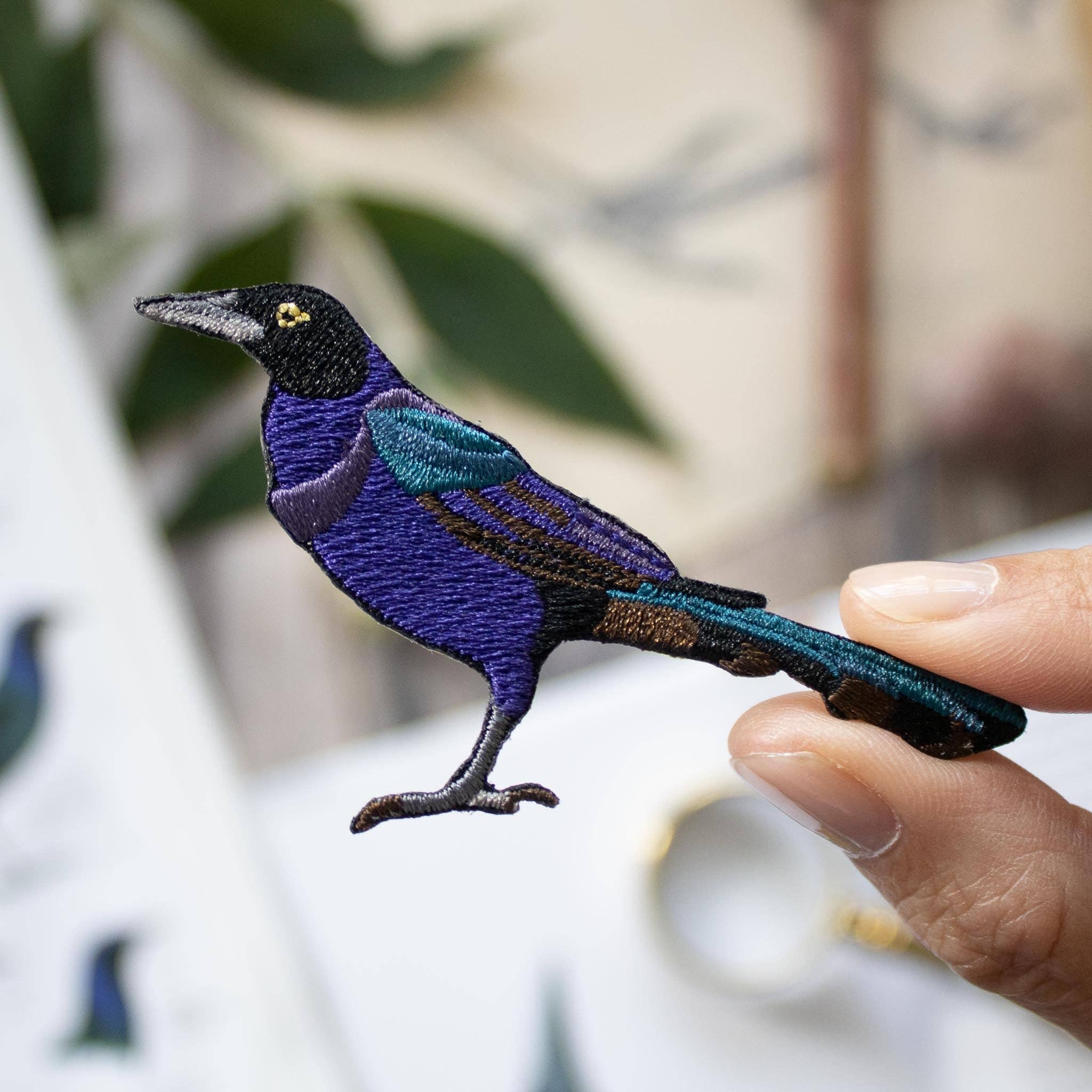 Boat-tailed Grackle Patch