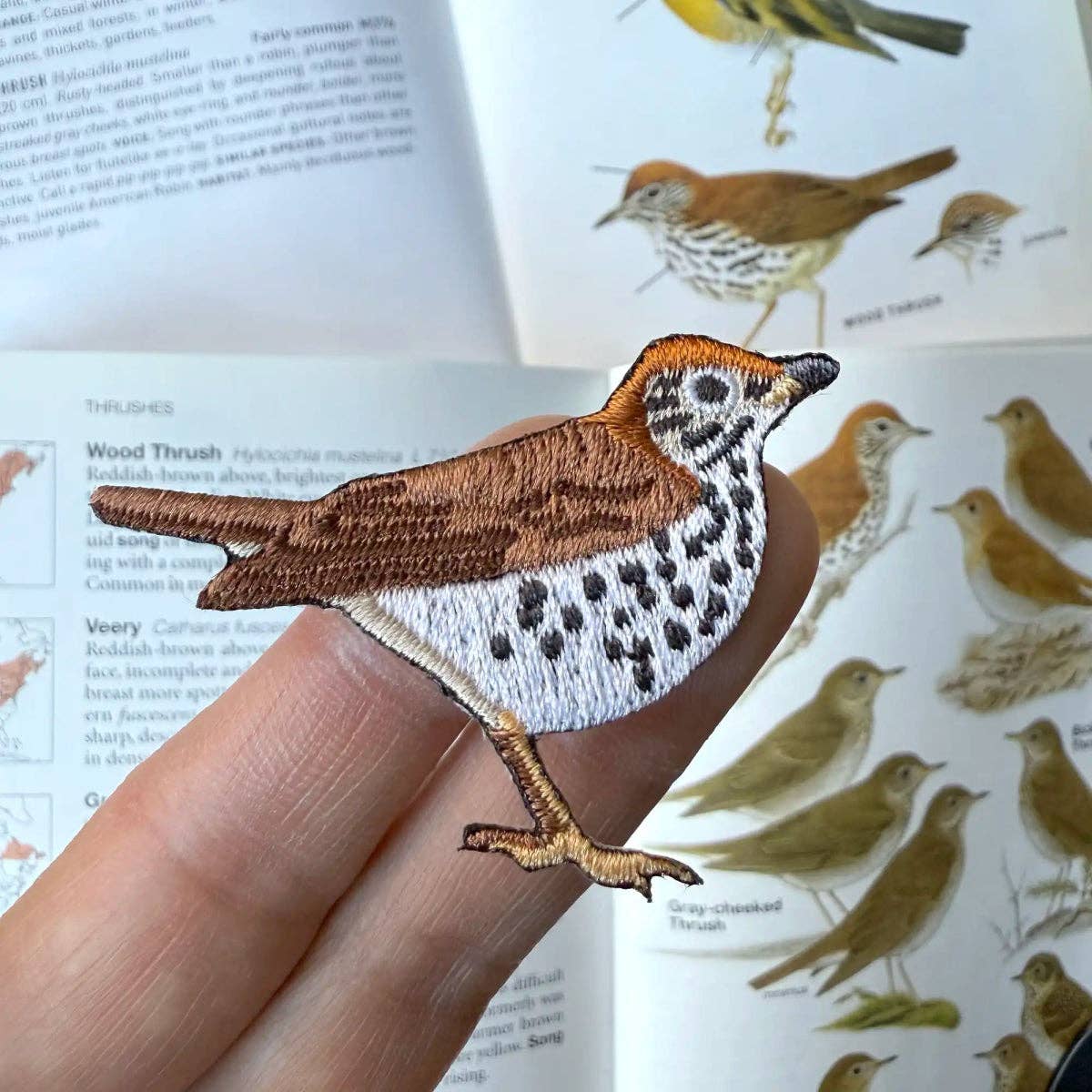 Wood Thrush Patch