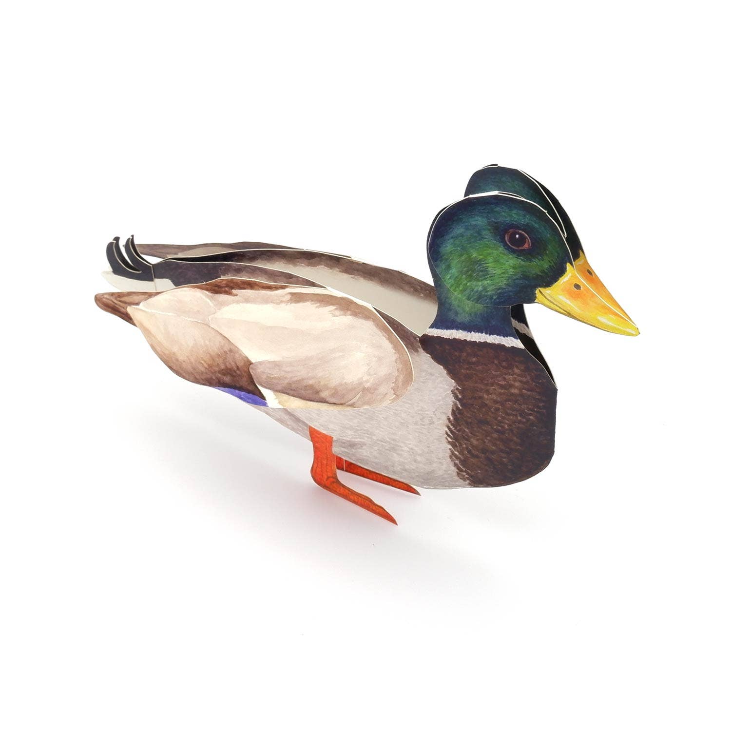 3D animal card mallard