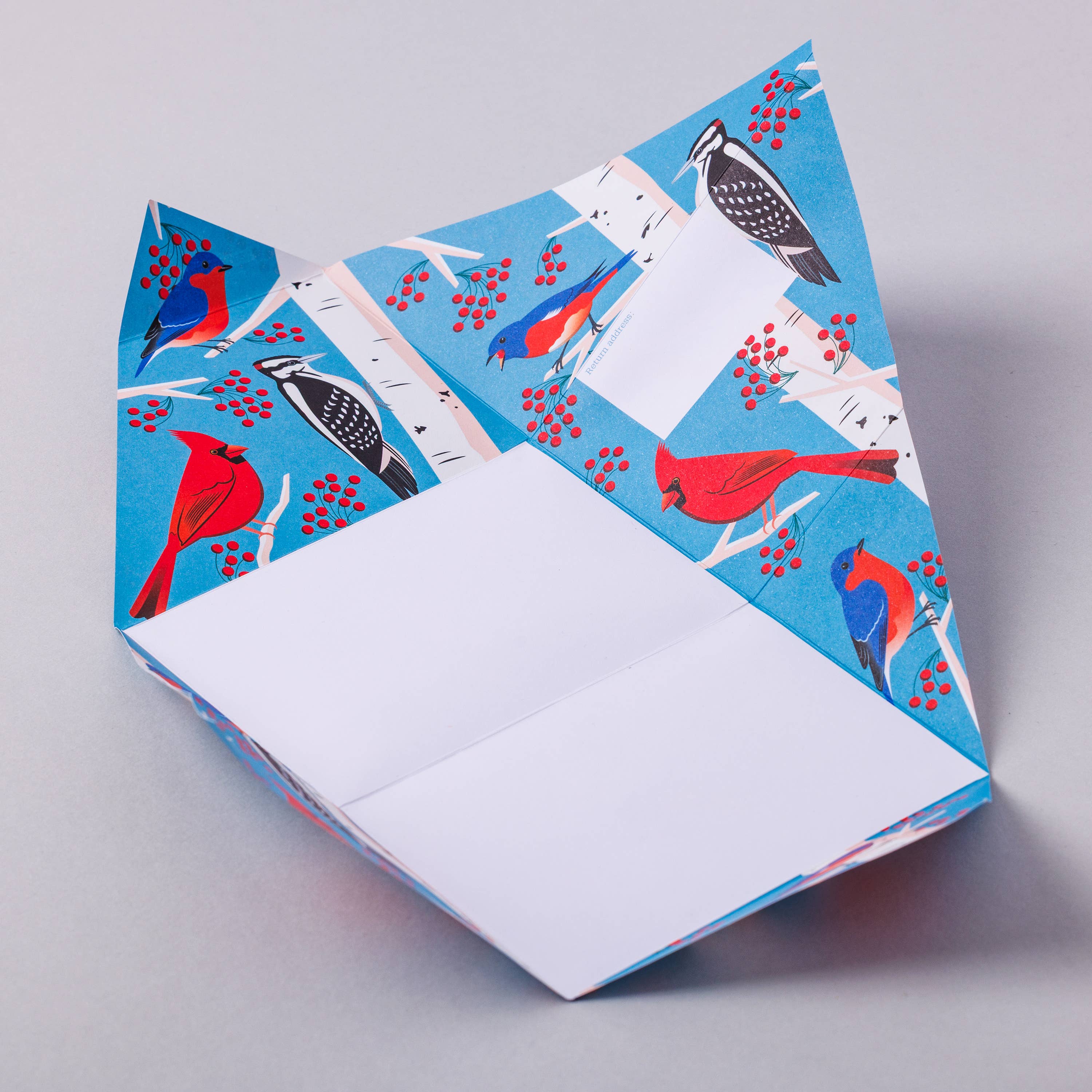 Carnival of Colour Pigeon, Folding Letter Pack, Pack of 6