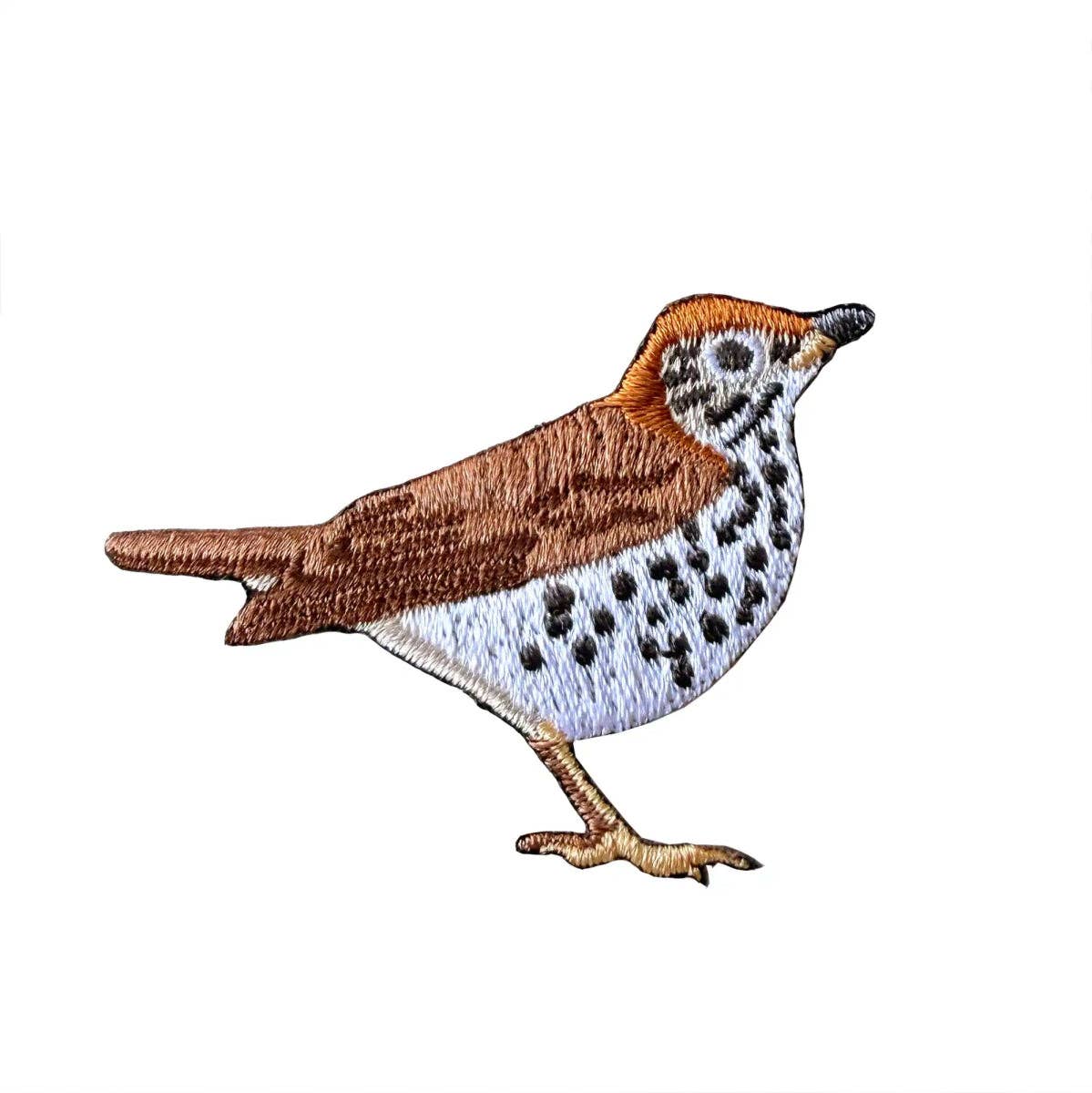 Wood Thrush Patch