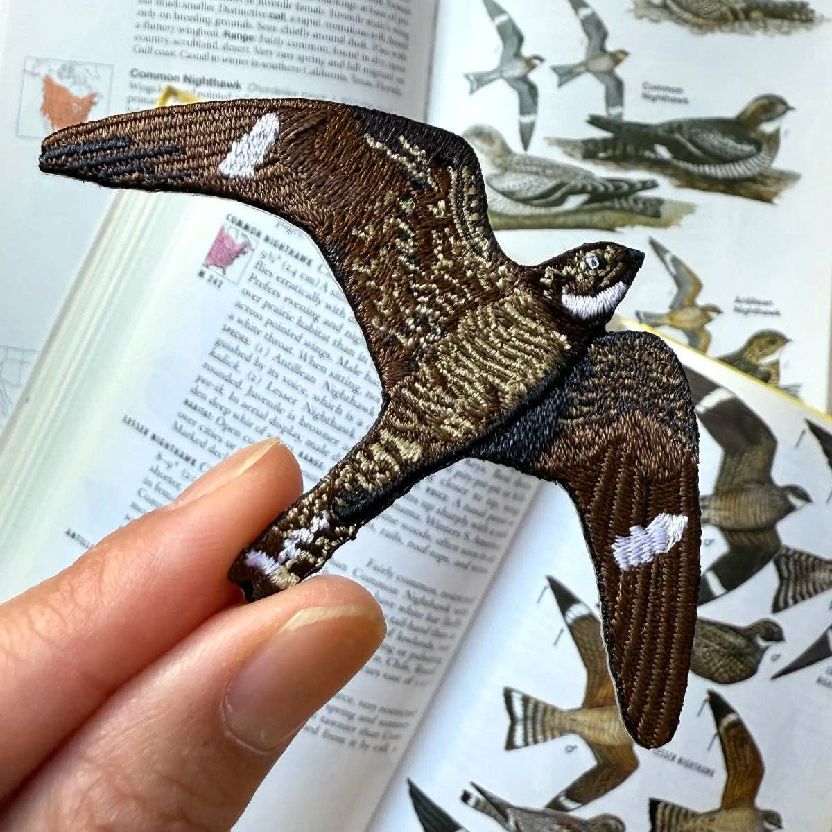 Common Nighthawk Patch