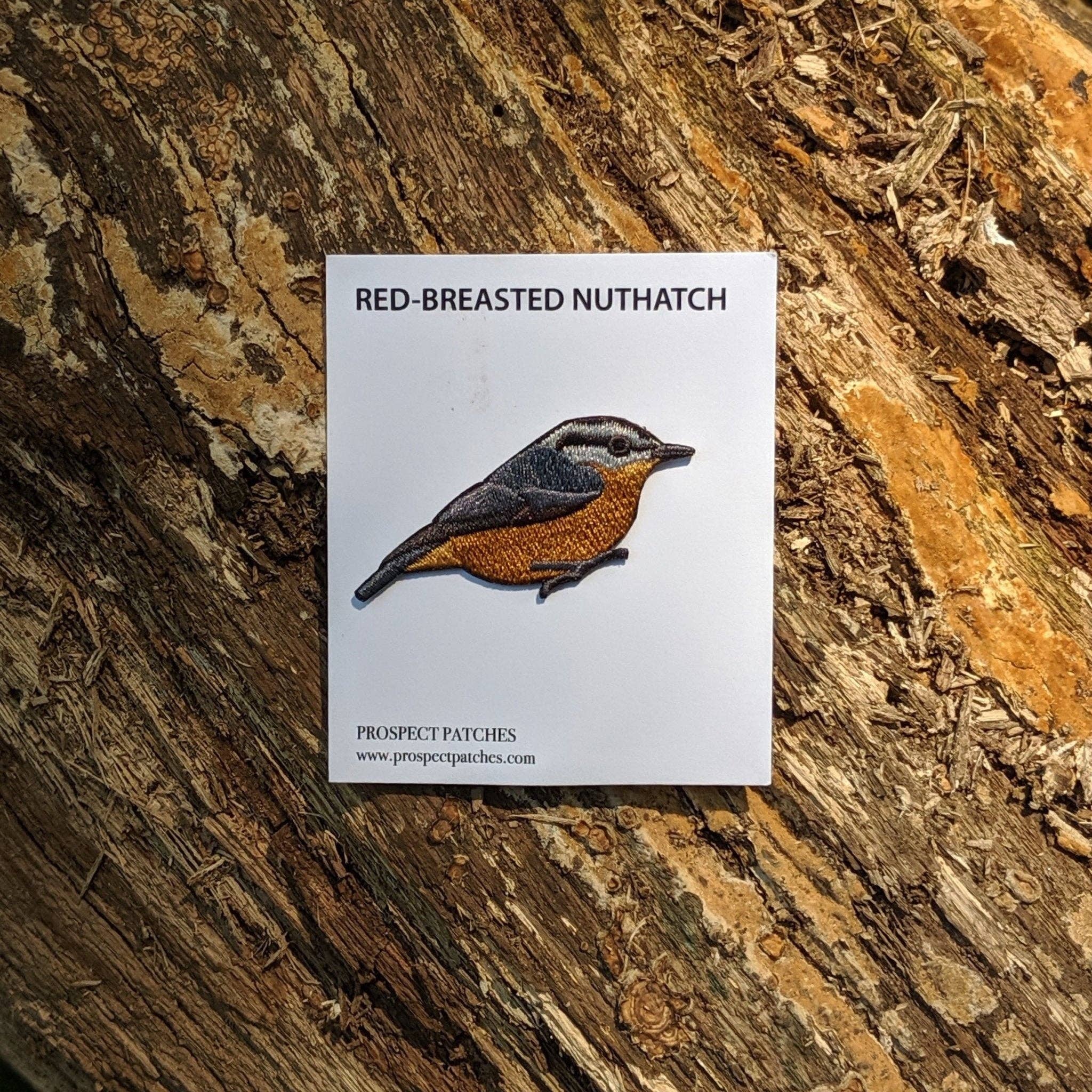 Red-breasted Nuthatch Patch