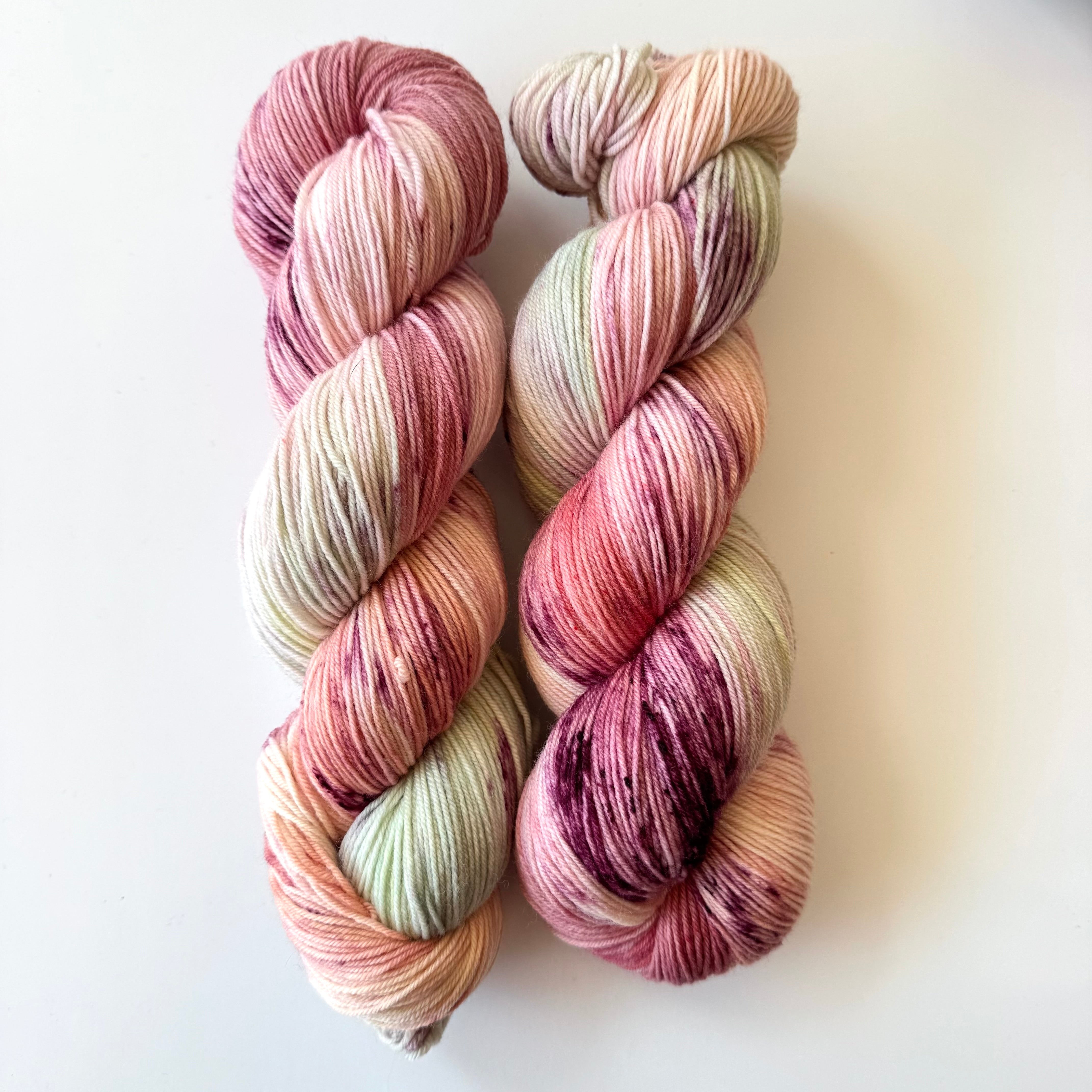 FINCH fingering- SW merino/nylon