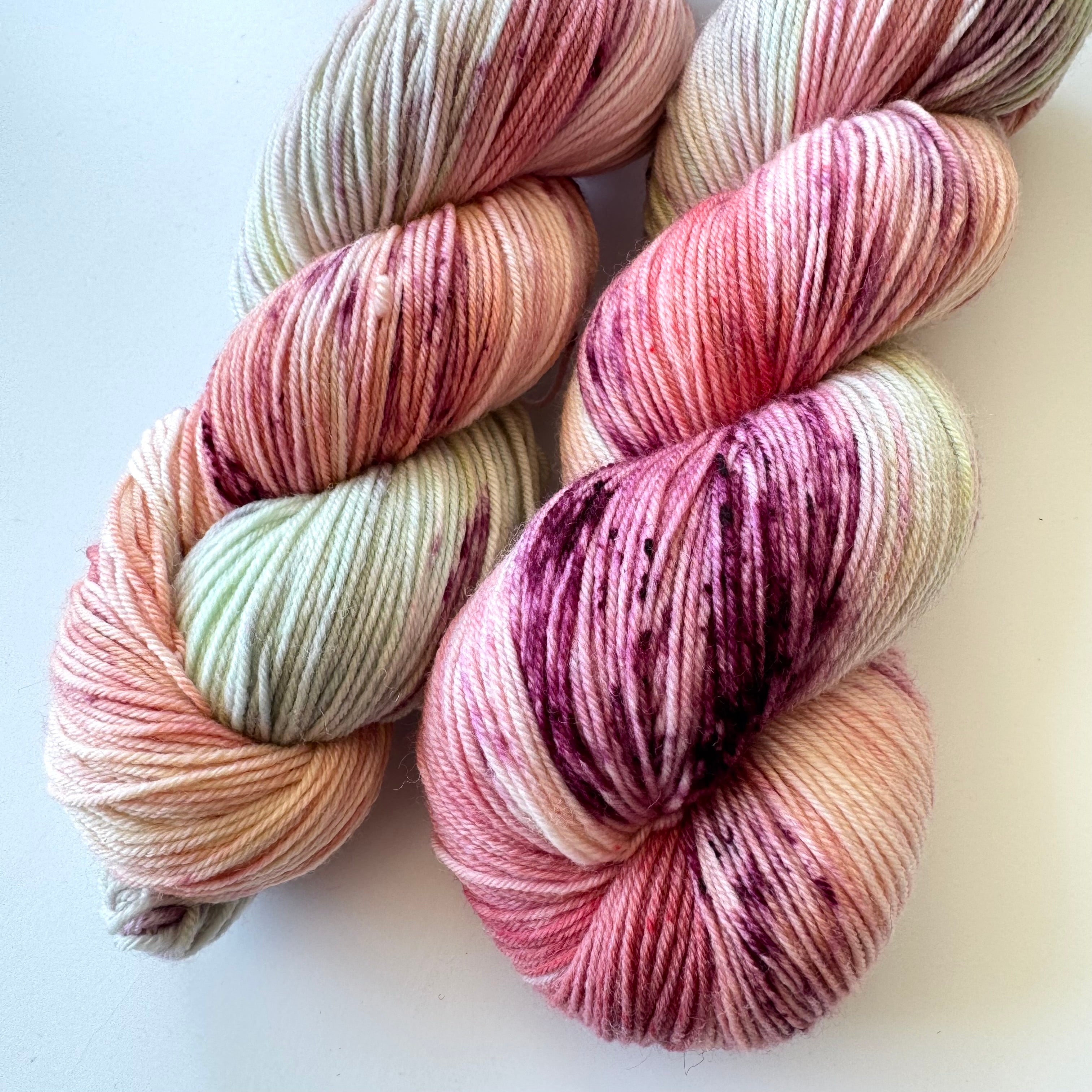 FINCH fingering- SW merino/nylon