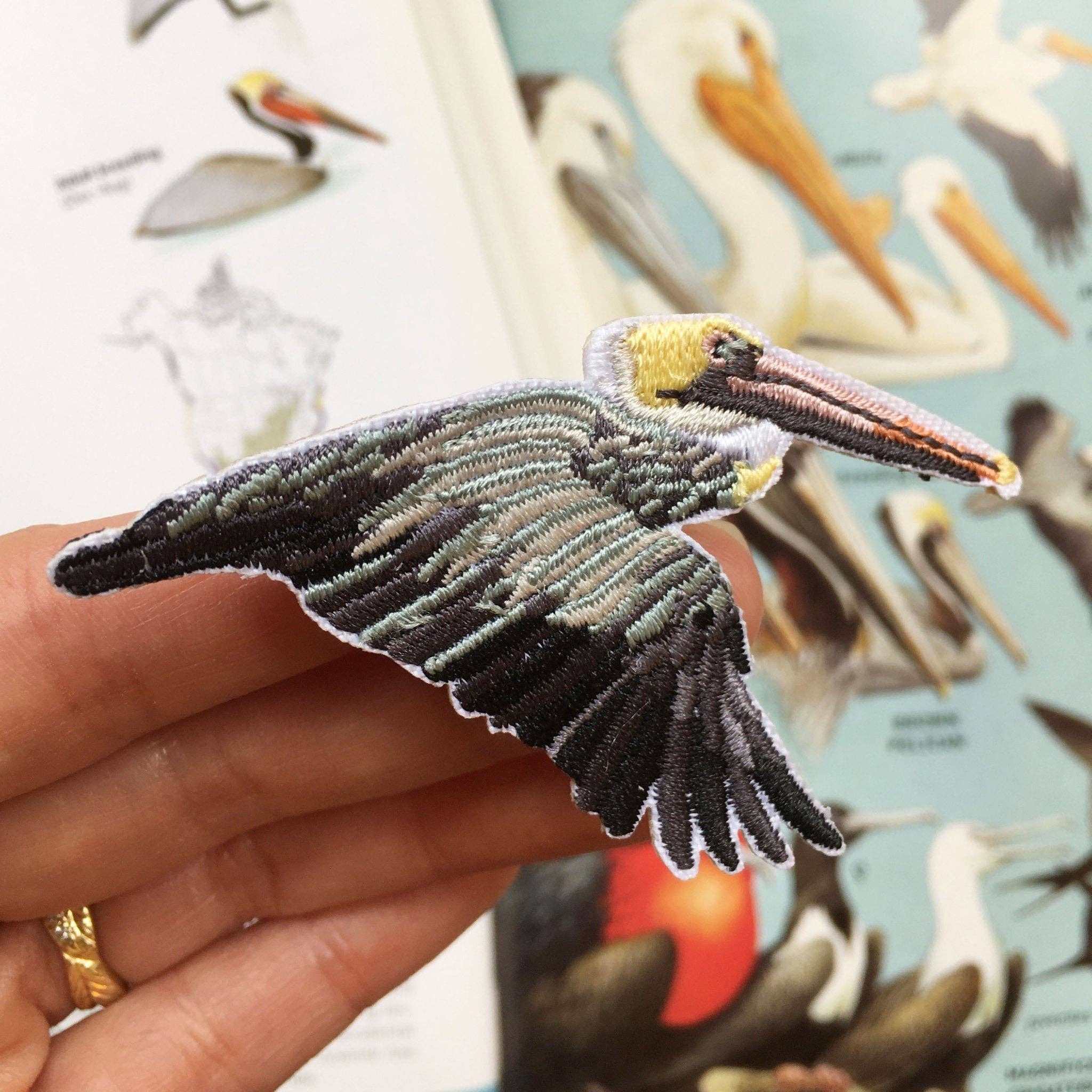 Brown Pelican Patch