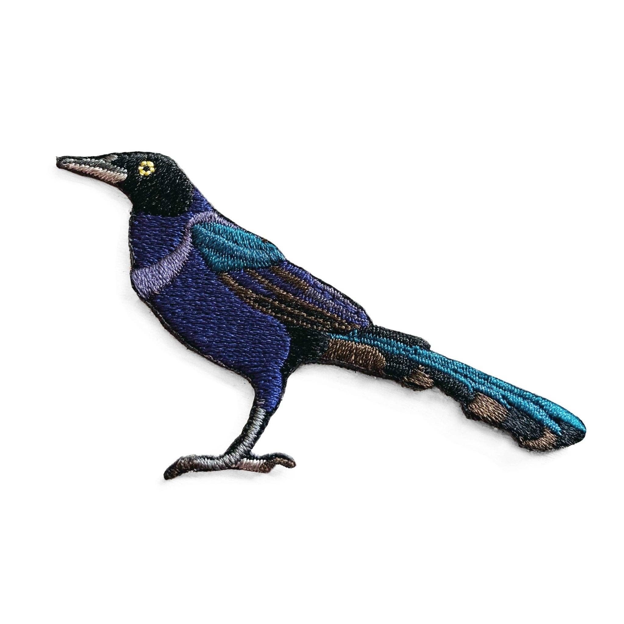 Boat-tailed Grackle Patch