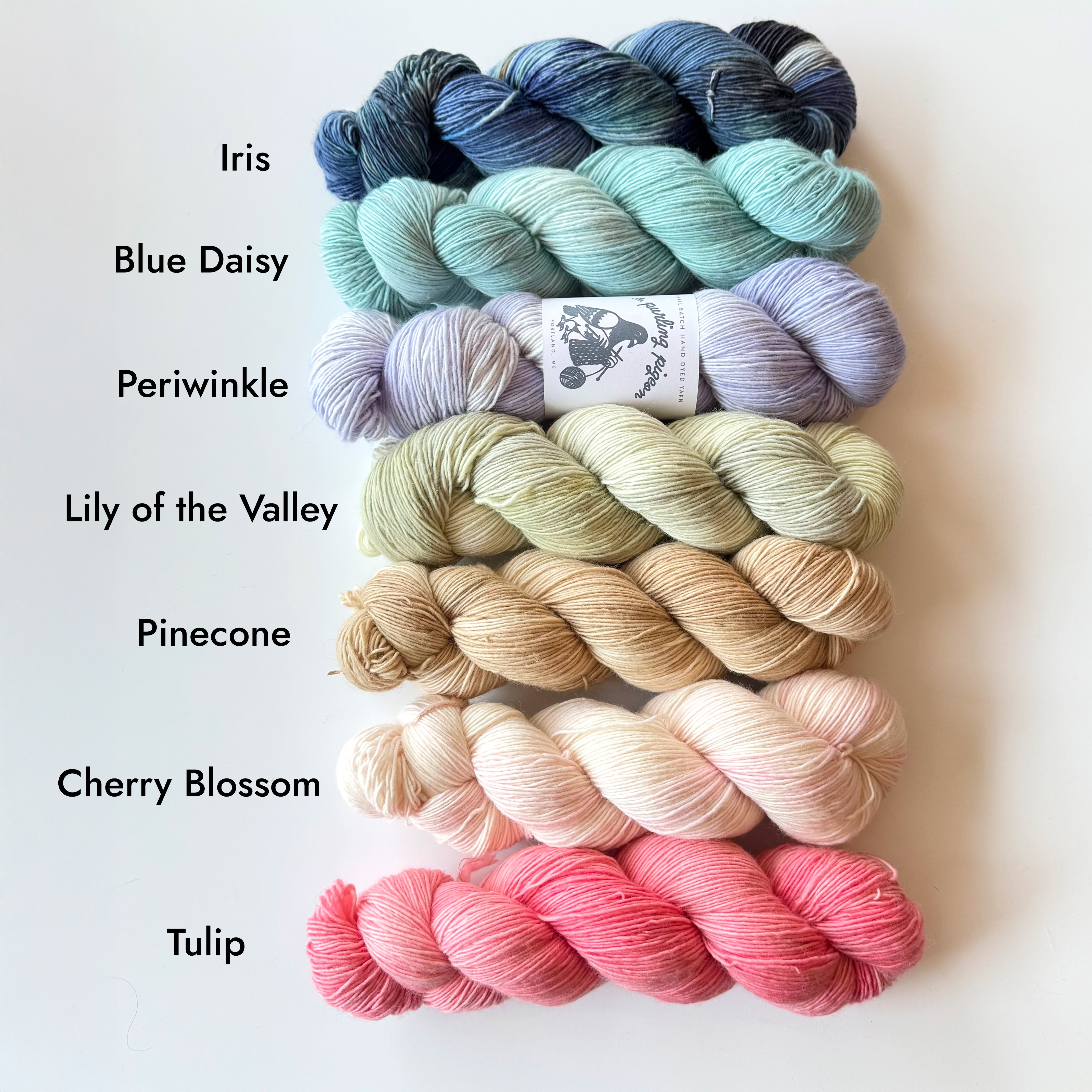 Dove fingering - Single Ply Merino wool